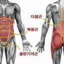 탠핏휘트니스 이미지