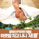 오장전자 이미지