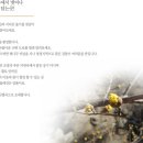 지리산청산별곡 이미지