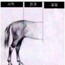 용용죽겠지 이미지