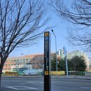 지후식당 | [마포구 상암동] 디지털미디어시티 DMC역 덮밥 맛집 지후식당