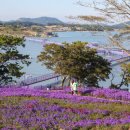 퍼플섬민박 이미지