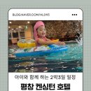 보다더동물농장 | 평창 켄싱턴호텔 2박3일 여행 2일차 | 동물농장 , 수영장 ,키즈카페 완벽 코스