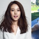 눈먼쇼핑