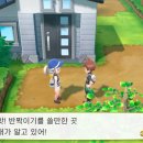 돌산체육관 이미지