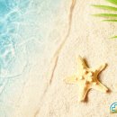 목동튼튼마취통증의학과의원 이미지