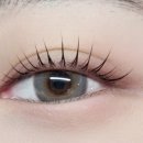 다온래쉬 - 서구 이화로25번길 12 | 다온래쉬