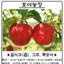 호야농장 이미지