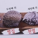 숯불막창구이 이미지