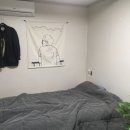 대학동-44 Daum카페