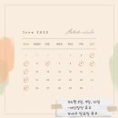 순수아미 이미지