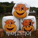한우소장수