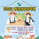 강원산양삼 이미지