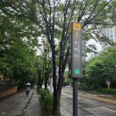 미노리 | 문래이자카야 미노리 평일 저녁 후기