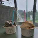 강릉순두부젤라또