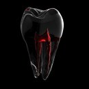 서울행복치과 이미지