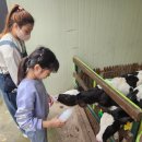 조원목장 이미지