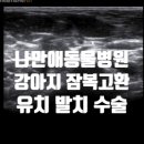 나만 애 동물병원 이미지