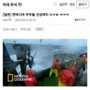 그계절 이미지