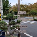 물돌이펜션리조트 이미지