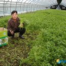 정대농장 이미지