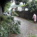 양덕동133 이미지