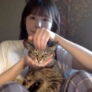 디아르인테리어디자인스튜디오 | 2-3월 사진첩털이