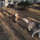 박순호의 아이슬란드 이미지