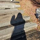 유등리 | 청도 오브제토 브런치 카페 후기 | 대구 근교 브런치 맛집 분위기 최고