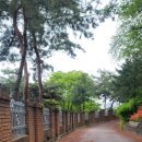 목동천길 이미지