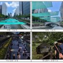 그늘막50 이미지