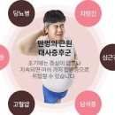 대사증후군 원인 진단 기준 대사증후군이란? 이미지