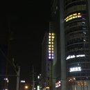 샴푸성인나이트