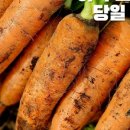 평대농장 이미지