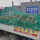 칠금동010 이미지