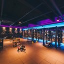 바디채널 첨단점 이미지