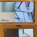 3175 | 강남 헤드스파&amp;두피마사지 추천｜묘화림 두피·목·어깨 관리 후기