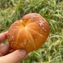 동탄 소금빵 맛집 고페르 묵직한 버터 풍미