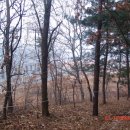 오산1리 이미지