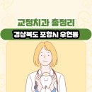 요하네스치과의원 | 경상북도 포항시 우현동 교정치과 총정리