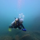 작은한개 | [제주도 펀다이빙 후기] 작은한개창 &amp; 소천지에서의 특별한 2회 다이빙 체험 🌊🤿