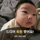 11500-19-49-12 | 담도폐쇄증 복강경 카사이수술 후 퇴원 과정 (생후 49일 퇴원, 외래·약 기록)