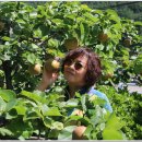 덕풍황토방 이미지