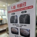 자란헤어