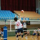 새얼학교 이미지