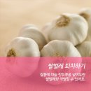 청소특공대 이미지