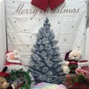 하나펫살롱 이미지