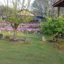 석란정펜션 이미지