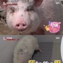 경선농장 이미지