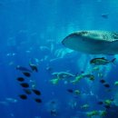 제이파크세탁 이미지